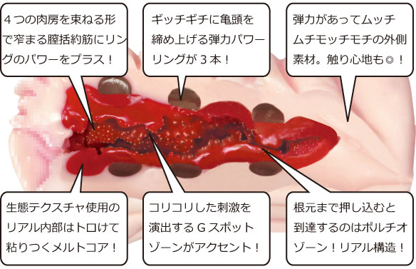 欲情ギミック