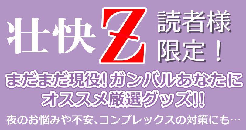 壮快Z特設