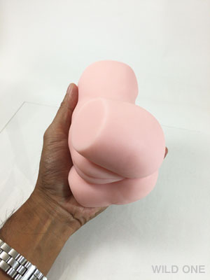ぷにばーじん600詳細画像3