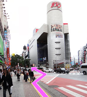 109の前の信号を渡って、左へ。