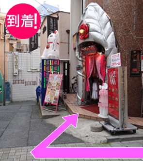 ワイルドワン入口です。いらっしゃいませ!