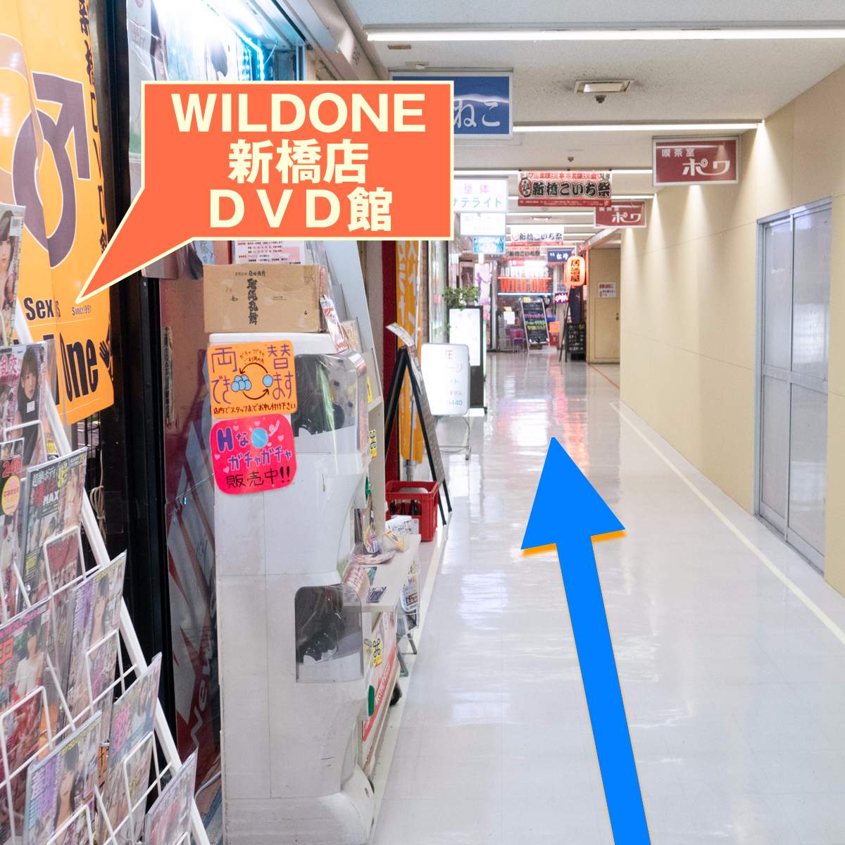 左側に見えるは、「WILDONE新橋店DVD館」! 更にまっすぐ進むと、もうひとつWILDONEの看板が見えますね!